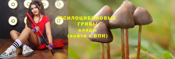 каннабис Алзамай